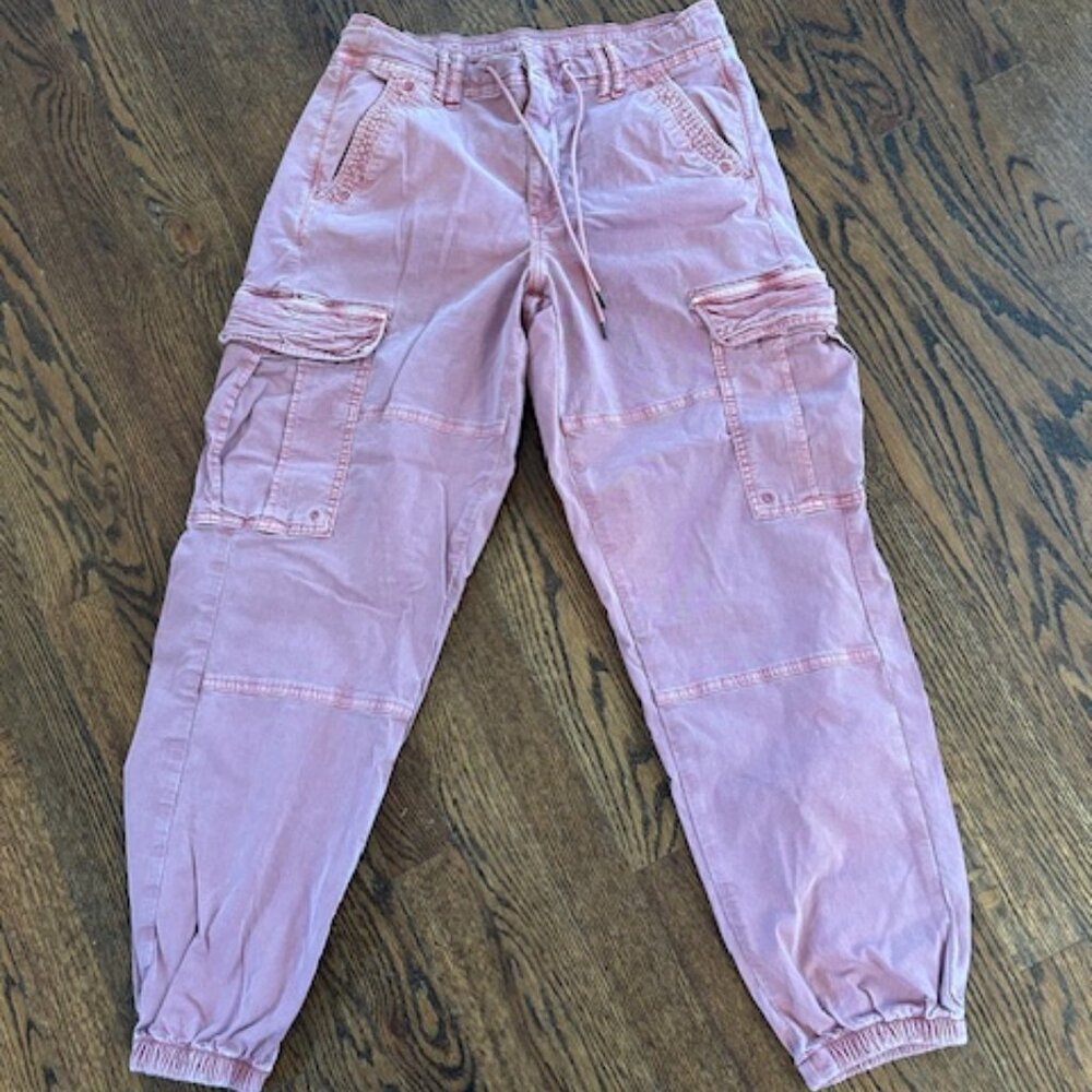 American Eagle Baggy Cargo Jogger Pants / Size 10 - Picture 6 of 14